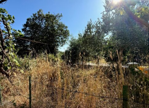 ISZTRIA, LABIN - Felújítandó ház a külvárosban