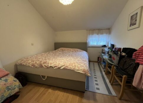 VIŠKOVO - HÁZ LAKÁSSAL ÉS ÜZLETI TERÜLETTEL