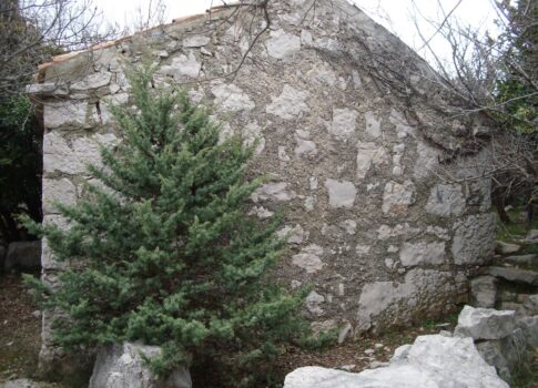 KRK SZIGET - Kőház félreeső helyen 250 m-re a tengertől