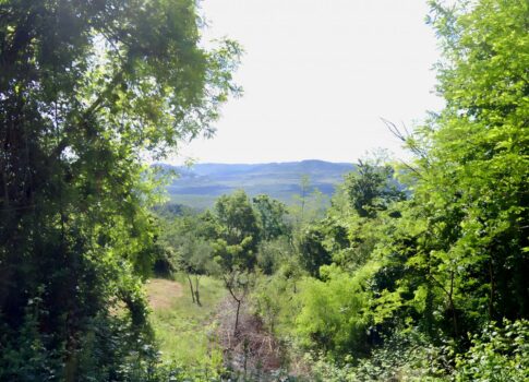 ISZTRIA, GROŽNJAN - Kőház nagy, kombinált telken panorámás kilátással