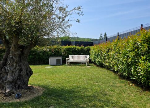 ISZTRIA, MOTOVUN - Kifogástalan villa a falu szélén