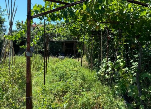 ISZTRIA, PULA - Lakás nagy kerttel, kiváló helyen! Hitelre is vásárolható!