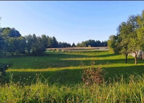 GORSKI KOTAR, KUPJAK – 1115 m²-es építési telek, ideális hétvégi háznak vagy nyaralónak, a természet szívében!!