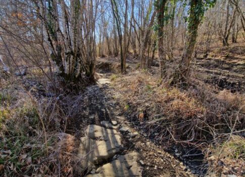 ISZTRIA, PAZIN - Potenciális ingatlan egy félreeső helyen