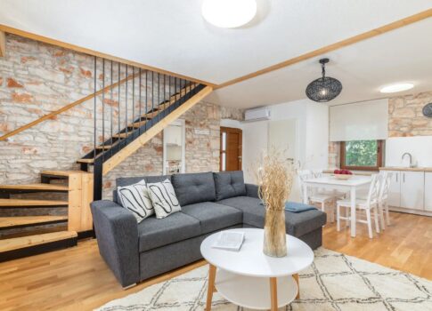 ISZTRIA, ŠIŠAN - Felújított isztriai kőház