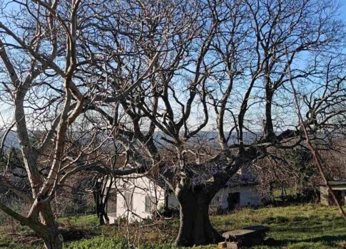 ISZTRIA, BRGOD - Ikerház tengerre néző kilátással