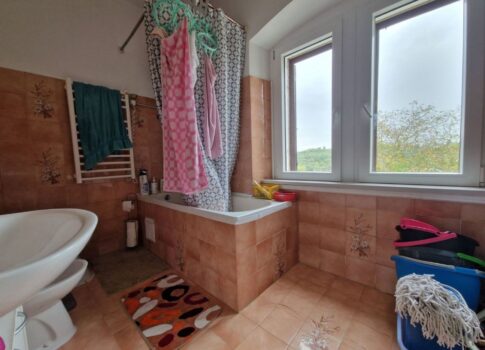 ISZTRIA, BUJE - Apartman egyedülálló helyen