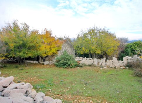 Dobrinj, környéke, régi kőház eladó